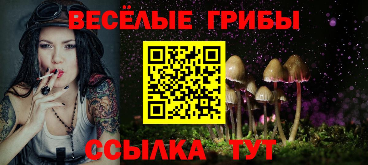 Псилоцибиновые грибы ЛСД Дубна