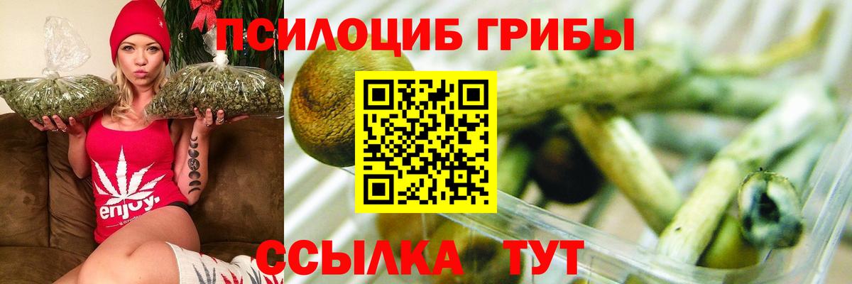 Псилоцибиновые грибы мухоморы  Вход с VPN  Дубна 